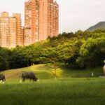 Kyoto Inspiration Program 2026​